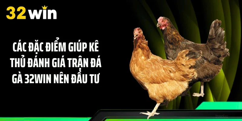 Các đặc điểm giúp kê thủ đánh giá trận đá gà 32WIN nên đầu tư