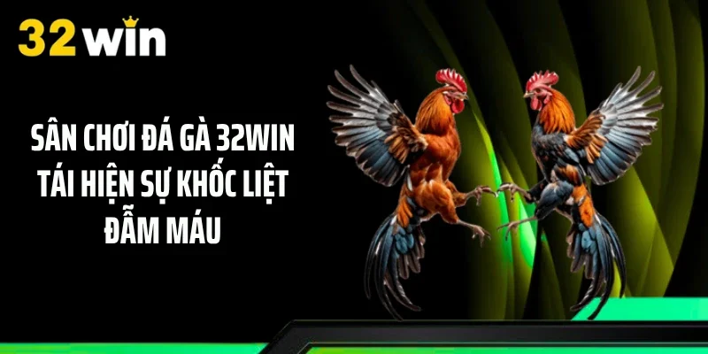 Sân chơi đá gà 32WIN tái hiện sự khốc liệt đẫm máu